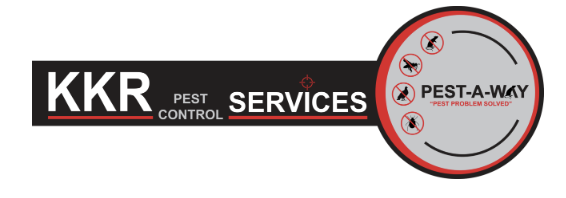 Expert logo